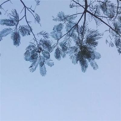 苍云传手游下载
