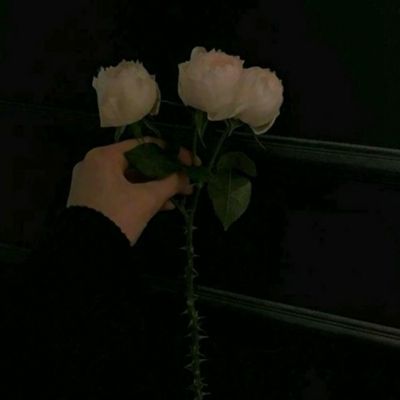 小谢手游app下载